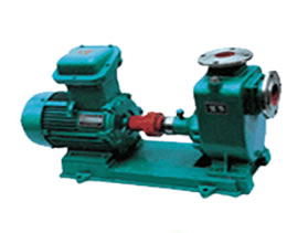 ZX������